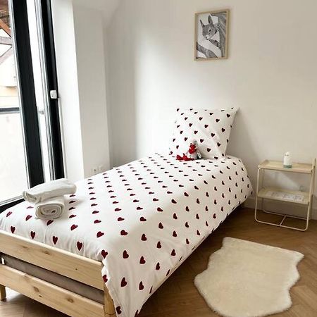 Cocon D'Alsace Apartment Колмар Екстериор снимка
