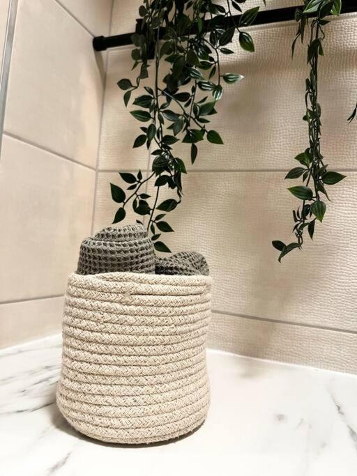 Cocon D'Alsace Apartment Колмар Екстериор снимка