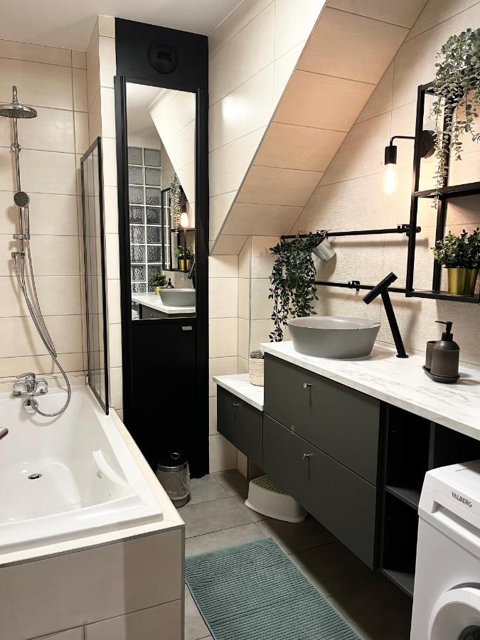 Cocon D'Alsace Apartment Колмар Екстериор снимка