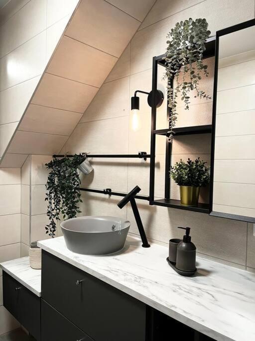 Cocon D'Alsace Apartment Колмар Екстериор снимка