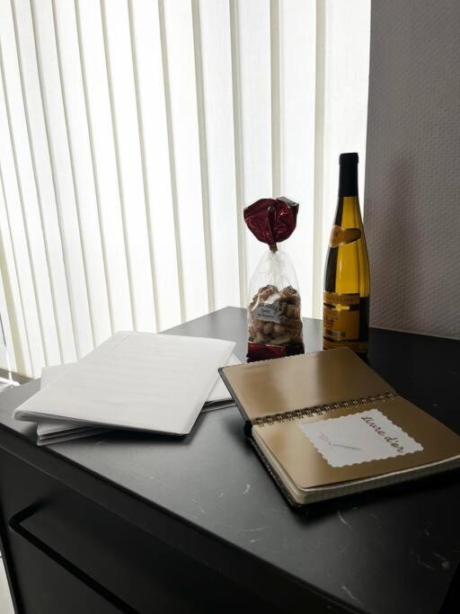 Cocon D'Alsace Apartment Колмар Екстериор снимка
